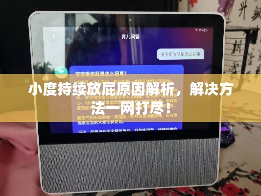 小度持續(xù)放屁原因解析，解決方法一網(wǎng)打盡！