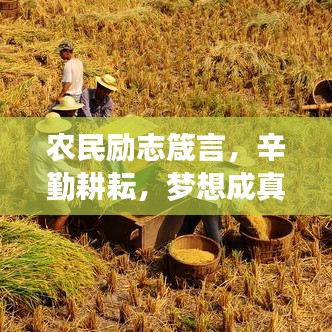 農(nóng)民勵志箴言，辛勤耕耘，夢想成真時刻