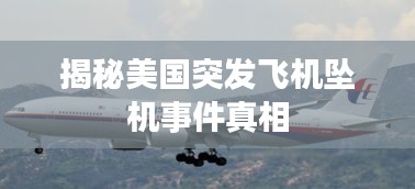 揭秘美國(guó)突發(fā)飛機(jī)墜機(jī)事件真相
