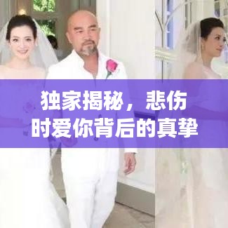 獨家揭秘，悲傷時愛你背后的真摯情感故事