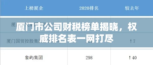 廈門市公司財(cái)稅榜單揭曉，權(quán)威排名表一網(wǎng)打盡