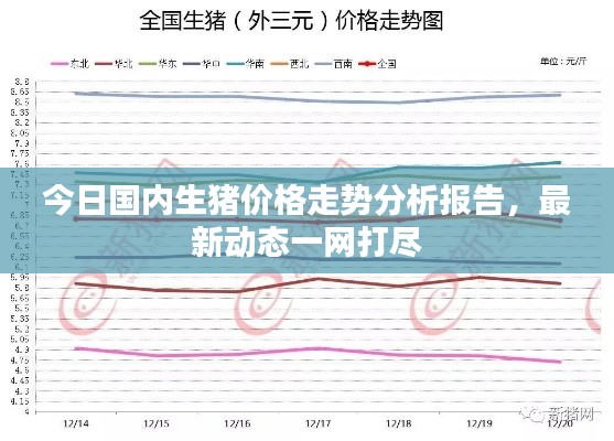 今日國(guó)內(nèi)生豬價(jià)格走勢(shì)分析報(bào)告，最新動(dòng)態(tài)一網(wǎng)打盡