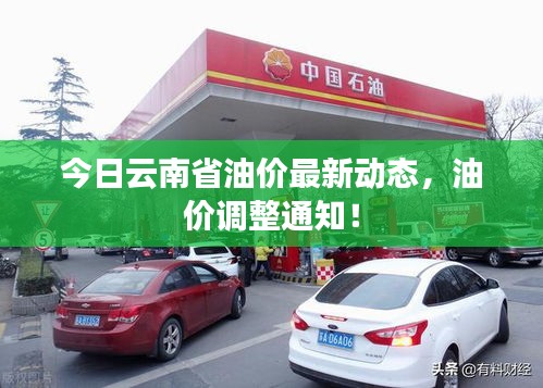 今日云南省油價(jià)最新動(dòng)態(tài)，油價(jià)調(diào)整通知！