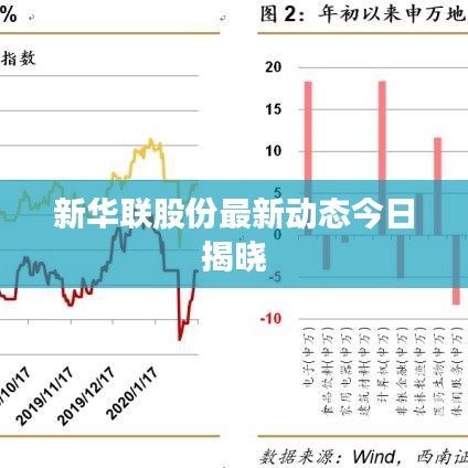 新華聯(lián)股份最新動態(tài)今日揭曉