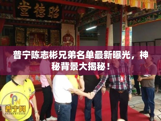 普寧陳志彬兄弟名單最新曝光，神秘背景大揭秘！