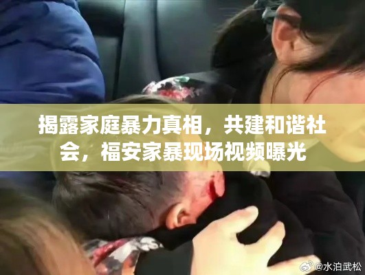 揭露家庭暴力真相，共建和諧社會，福安家暴現(xiàn)場視頻曝光