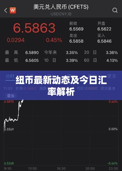 紐幣最新動態(tài)及今日匯率解析