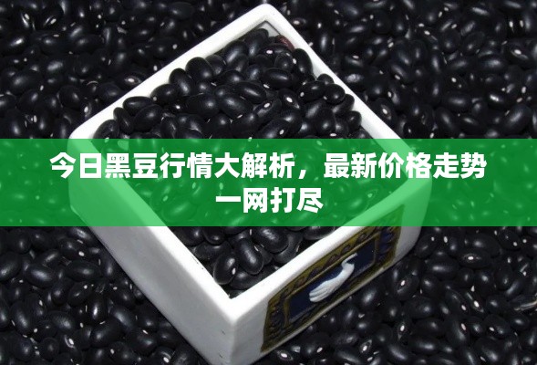 今日黑豆行情大解析，最新價(jià)格走勢(shì)一網(wǎng)打盡