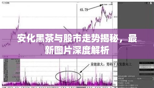 安化黑茶與股市走勢揭秘，最新圖片深度解析