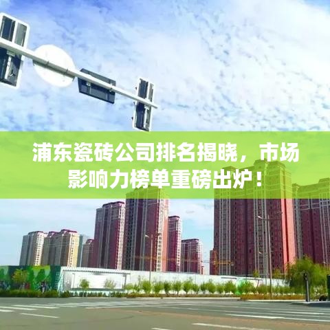 浦東瓷磚公司排名揭曉，市場(chǎng)影響力榜單重磅出爐！