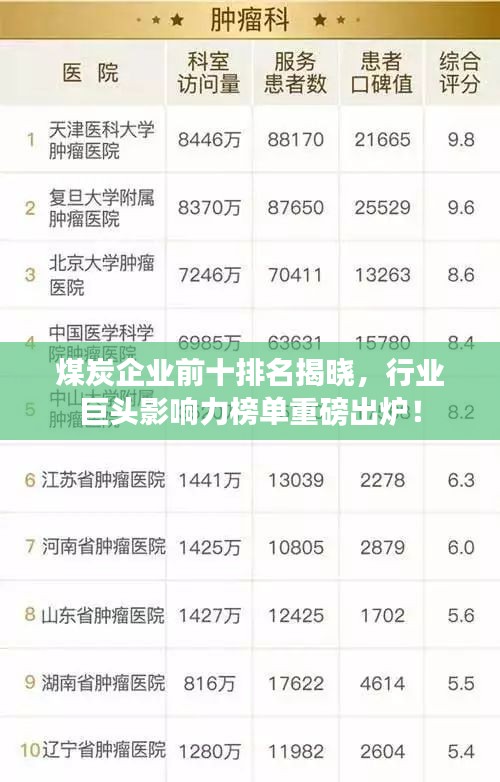 煤炭企業(yè)前十排名揭曉，行業(yè)巨頭影響力榜單重磅出爐！