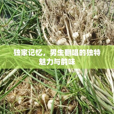 獨家記憶，男生翻唱的獨特魅力與韻味