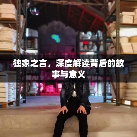 獨(dú)家之言，深度解讀背后的故事與意義