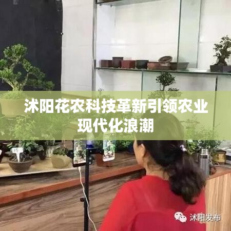 沭陽花農科技革新引領農業(yè)現代化浪潮