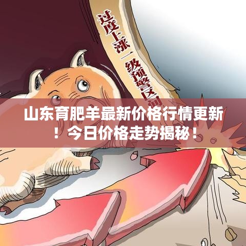 山東育肥羊最新價格行情更新！今日價格走勢揭秘！