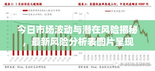 今日市場波動與潛在風險揭秘，最新風險分析表圖片呈現(xiàn)