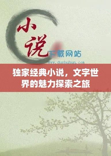 獨家經(jīng)典小說，文字世界的魅力探索之旅