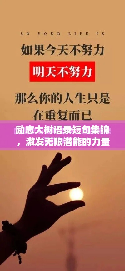勵(lì)志大樹語錄短句集錦，激發(fā)無限潛能的力量之語