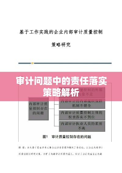審計(jì)問(wèn)題中的責(zé)任落實(shí)策略解析