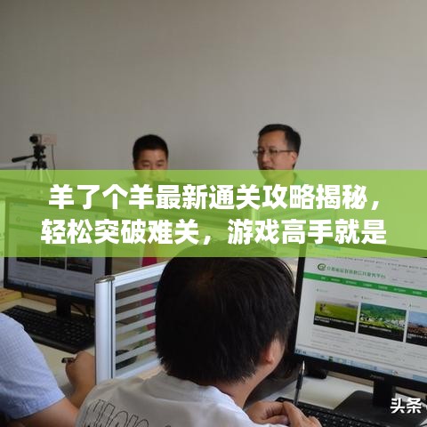 羊了個羊最新通關(guān)攻略揭秘，輕松突破難關(guān)，游戲高手就是你！