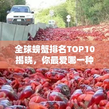 全球螃蟹排名TOP10揭曉，你最愛哪一種？