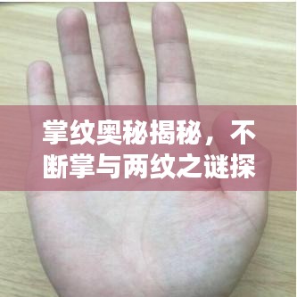 掌紋奧秘揭秘，不斷掌與兩紋之謎探秘