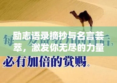 勵志語錄摘抄與名言薈萃，激發(fā)你無盡的力量源泉