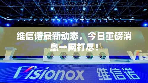 維信諾最新動(dòng)態(tài)，今日重磅消息一網(wǎng)打盡！