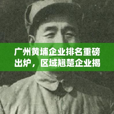 廣州黃埔企業(yè)排名重磅出爐，區(qū)域翹楚企業(yè)揭曉