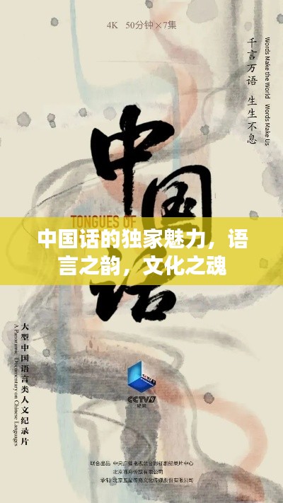 中國話的獨家魅力，語言之韻，文化之魂