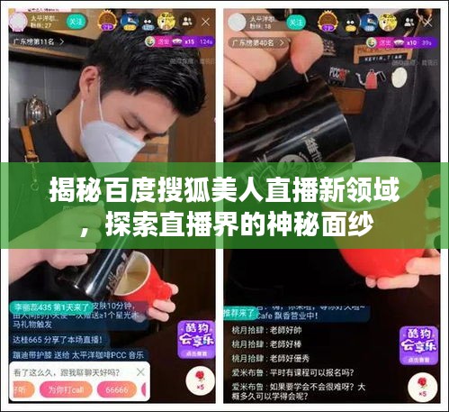 揭秘百度搜狐美人直播新領(lǐng)域，探索直播界的神秘面紗