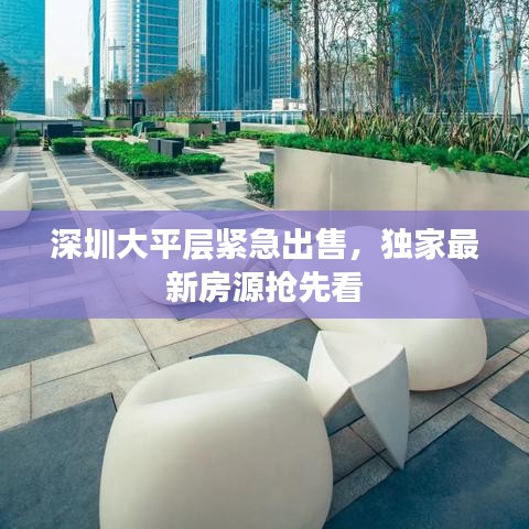深圳大平層緊急出售，獨(dú)家最新房源搶先看