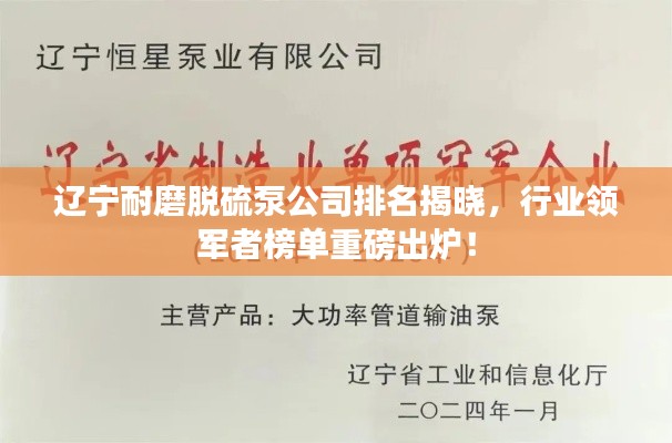 遼寧耐磨脫硫泵公司排名揭曉，行業(yè)領(lǐng)軍者榜單重磅出爐！
