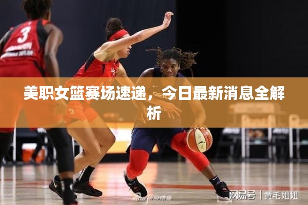 美職女籃賽場速遞，今日最新消息全解析