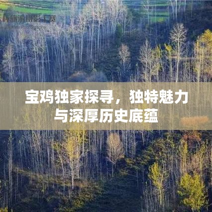 寶雞獨(dú)家探尋，獨(dú)特魅力與深厚歷史底蘊(yùn)