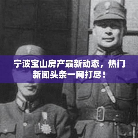 寧波寶山房產(chǎn)最新動態(tài)，熱門新聞頭條一網(wǎng)打盡！