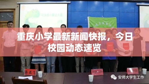 重慶小學(xué)最新新聞快報，今日校園動態(tài)速覽