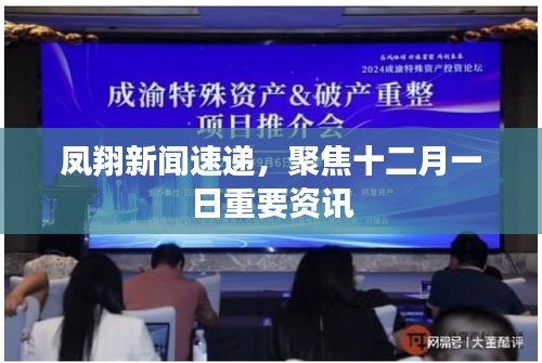 鳳翔新聞速遞，聚焦十二月一日重要資訊