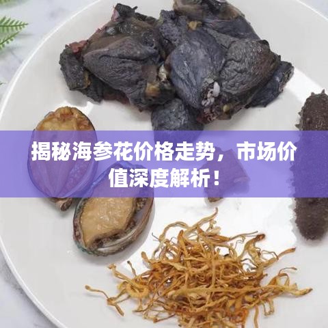 揭秘海參花價(jià)格走勢，市場價(jià)值深度解析！