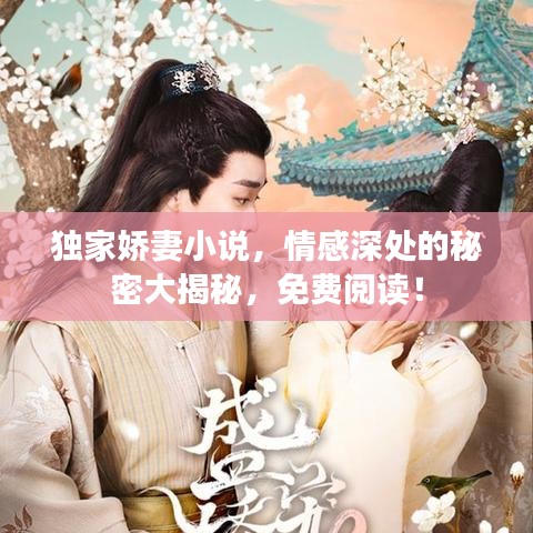 獨(dú)家嬌妻小說，情感深處的秘密大揭秘，免費(fèi)閱讀！