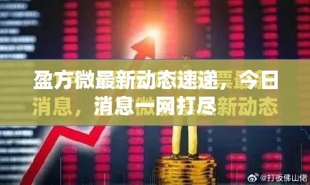 盈方微最新動態(tài)速遞，今日消息一網打盡