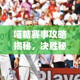 喵糖賽事攻略揭秘，決勝秘訣助你輕松奪冠！