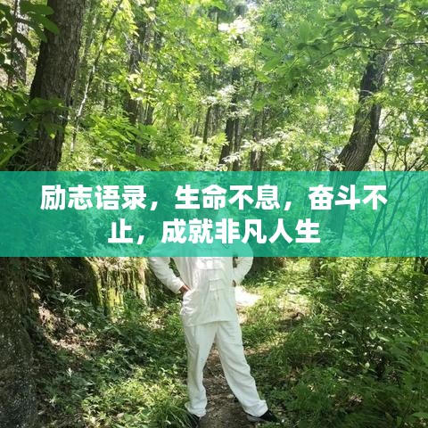 勵志語錄，生命不息，奮斗不止，成就非凡人生