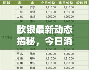 歐銀最新動態(tài)揭秘，今日消息一網(wǎng)打盡！