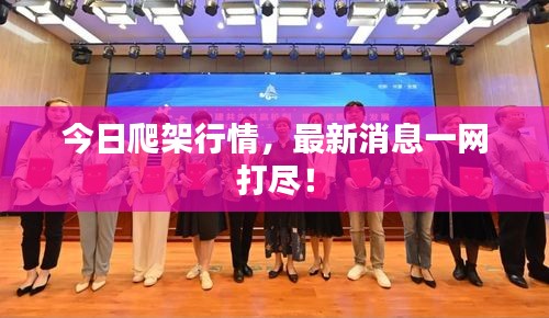 今日爬架行情，最新消息一網(wǎng)打盡！