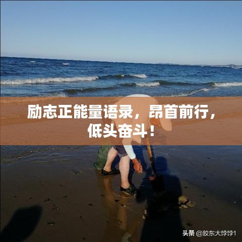 勵(lì)志正能量語(yǔ)錄，昂首前行，低頭奮斗！