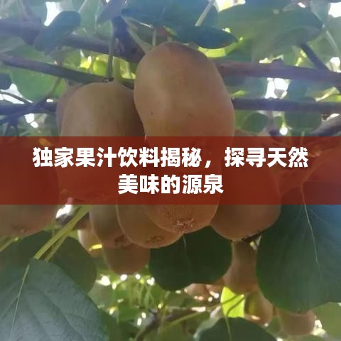 獨家果汁飲料揭秘，探尋天然美味的源泉
