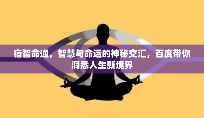 宿智命通，智慧與命運的神秘交匯，百度帶你洞悉人生新境界