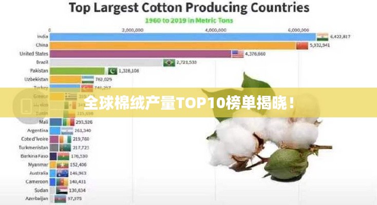 全球棉絨產(chǎn)量TOP10榜單揭曉！