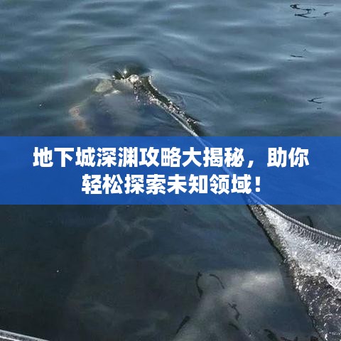 地下城深淵攻略大揭秘，助你輕松探索未知領(lǐng)域！